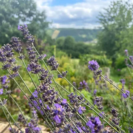 Historic Hideaway In Exbomont