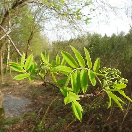 Historic Hideaway In