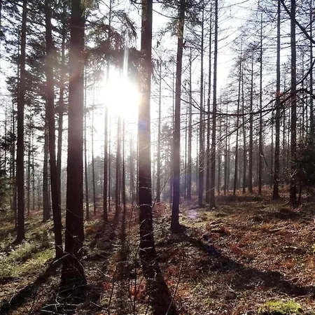 別荘 Historic Hideaway In *