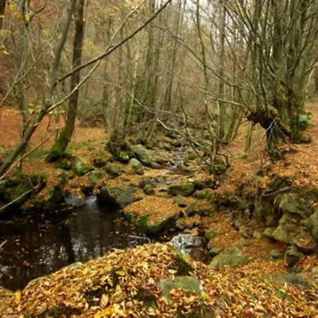 Historic Hideaway In Exbomont Ferienhaus Exbomont
